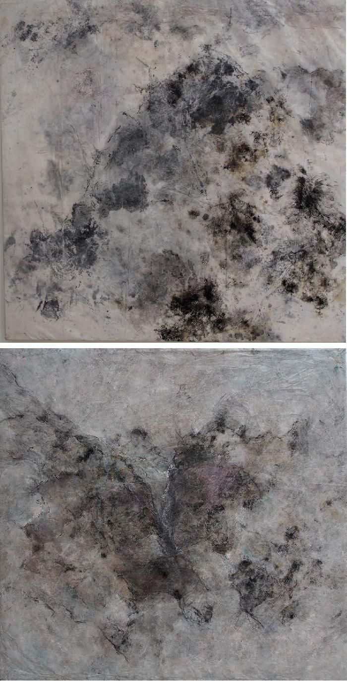 nadine kohn-fiszel artiste plasticienne,paysages interieurs,image 558