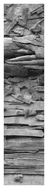 nadine kohn-fiszel artiste plasticienne,accueil,image 118