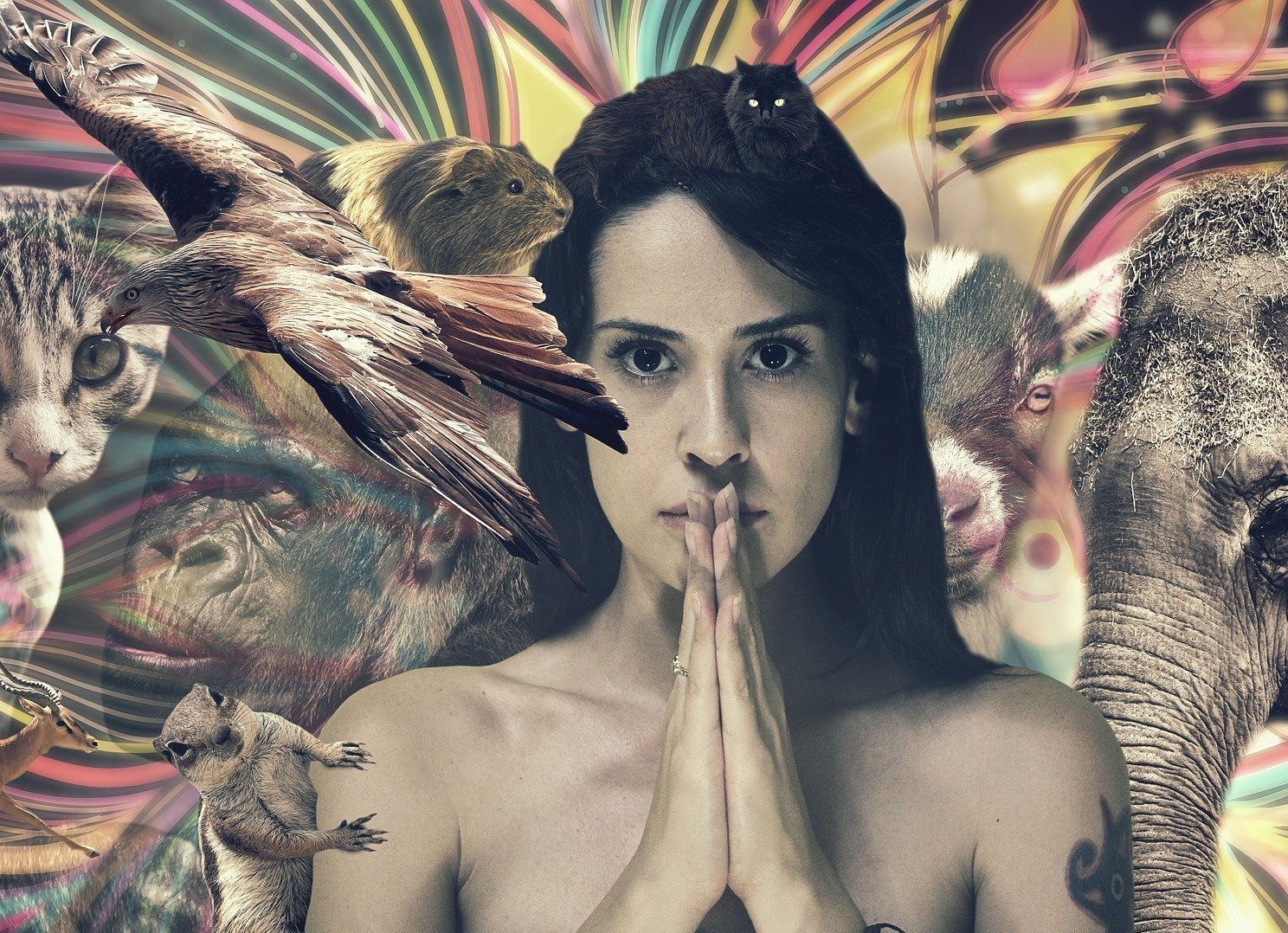 spirituelle Tiergeister - schamanische Krafttiere