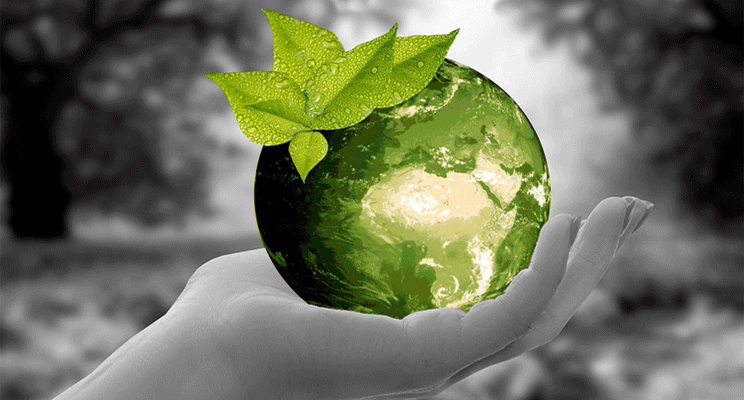 PMG Labels manufactures reusable, durable labels.