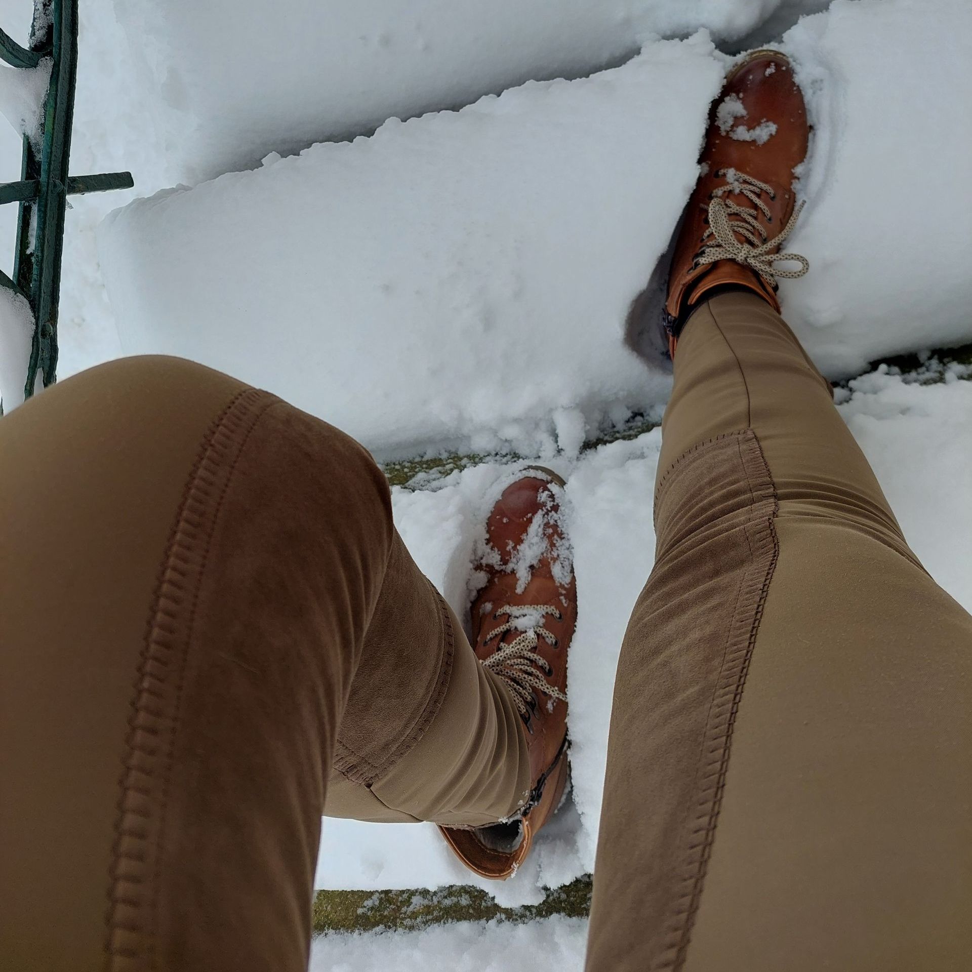 Paddocktrail Sonne Winter Pferde Herde Offenstall Bewegungsstall Schnee Reithose Thermohose