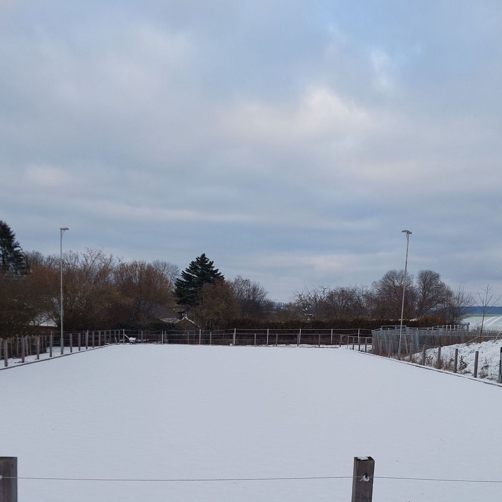 Paddocktrail Sonne Winter Pferde Herde Offenstall Bewegungsstall Schnee Reitplatz