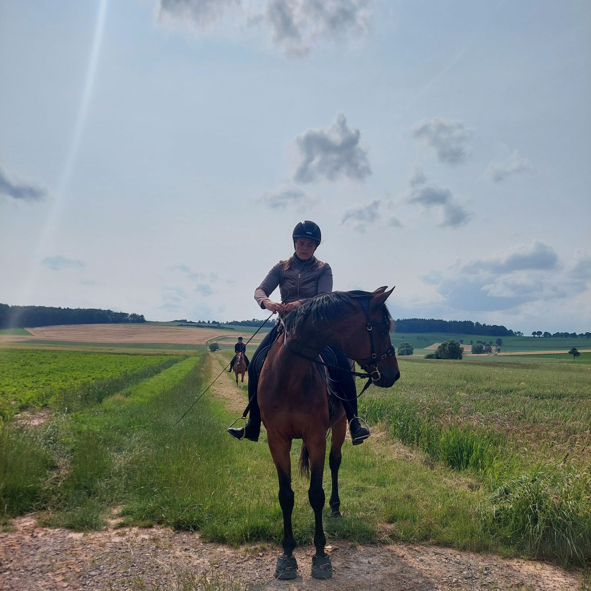 Reiter Bild Herbst Reiten Pferd Sattel Wiesenweg