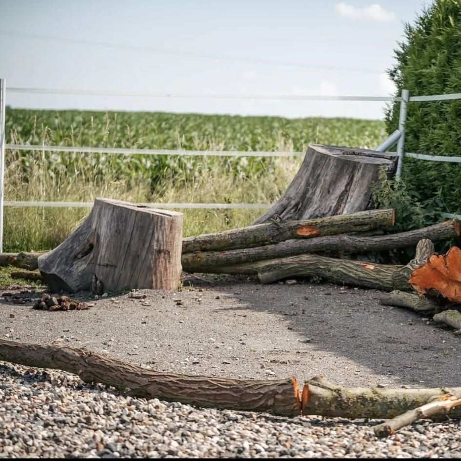 Stammhol Holzstamm Stammware Knabberholz Paddocktrail Paddock Pferdestall Offenstall