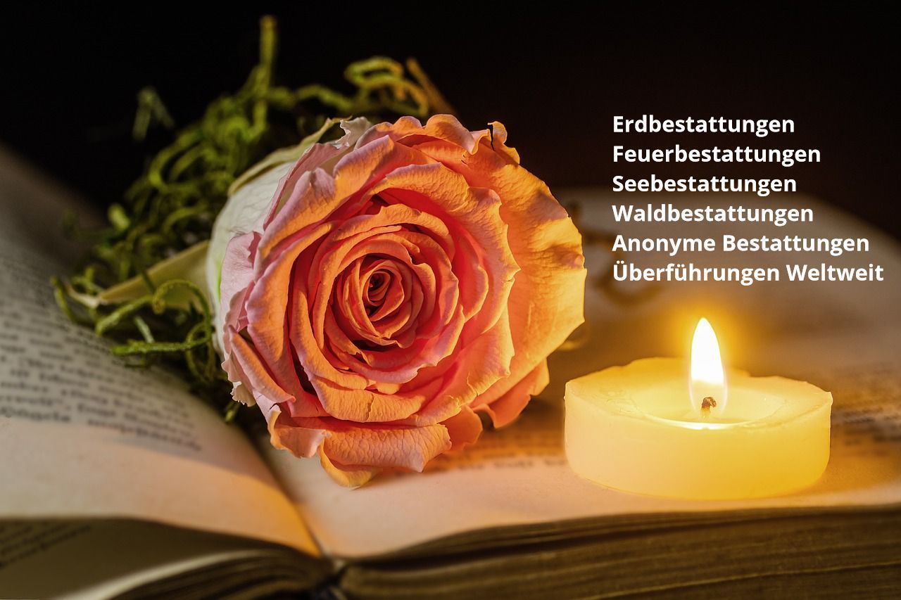 Brachlow Bestattungen Hannover