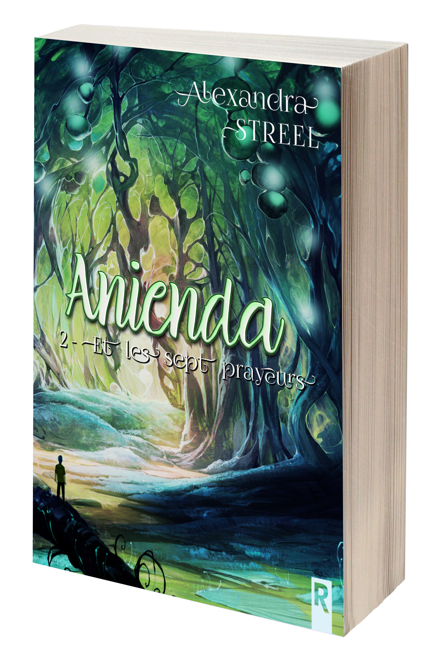 Anienda d'Alexandra Streel, saga fantasy en 4 tomes pour adolescents