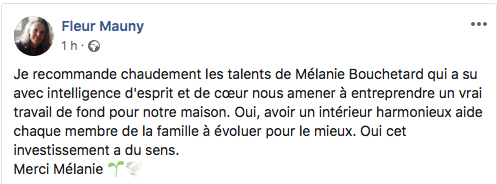 Consultation Expertise Feng Shui Paris Mélanie Bouchetard
