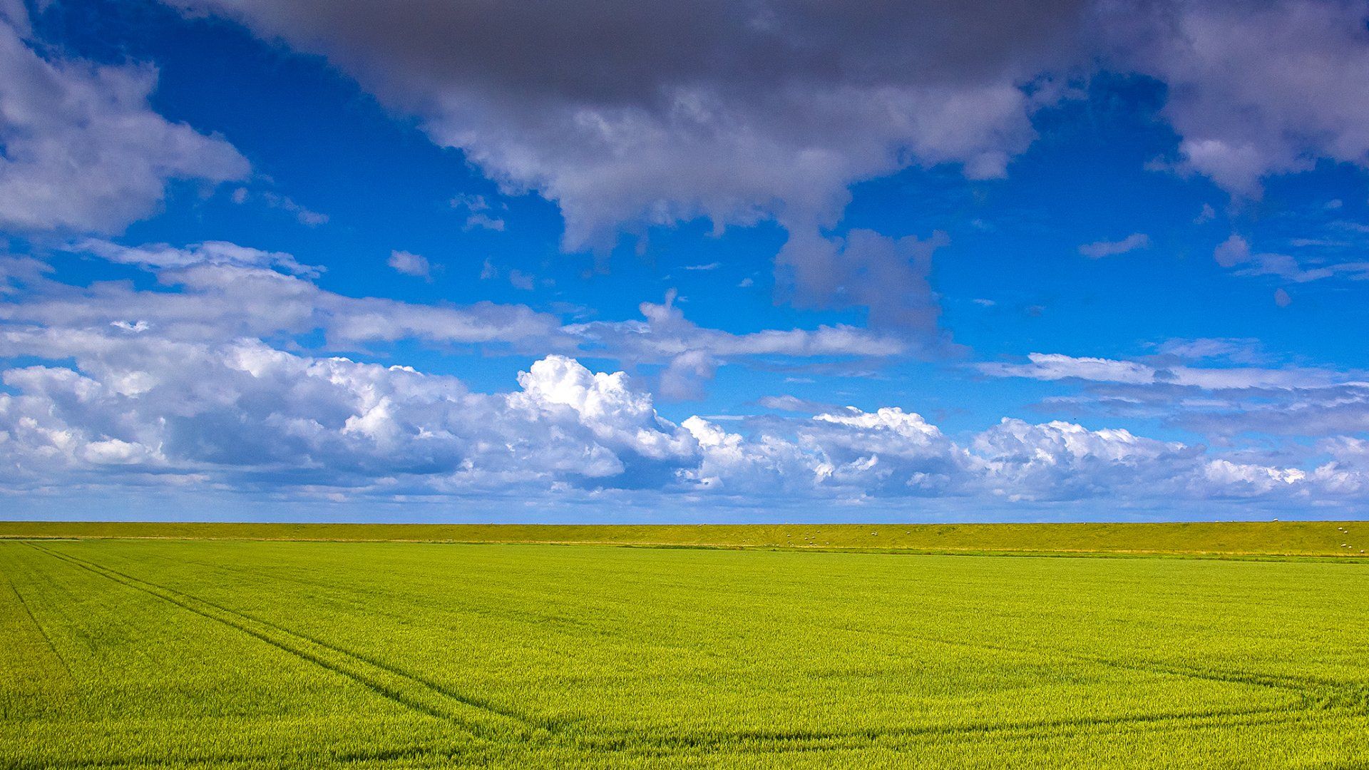 Ostfriesland