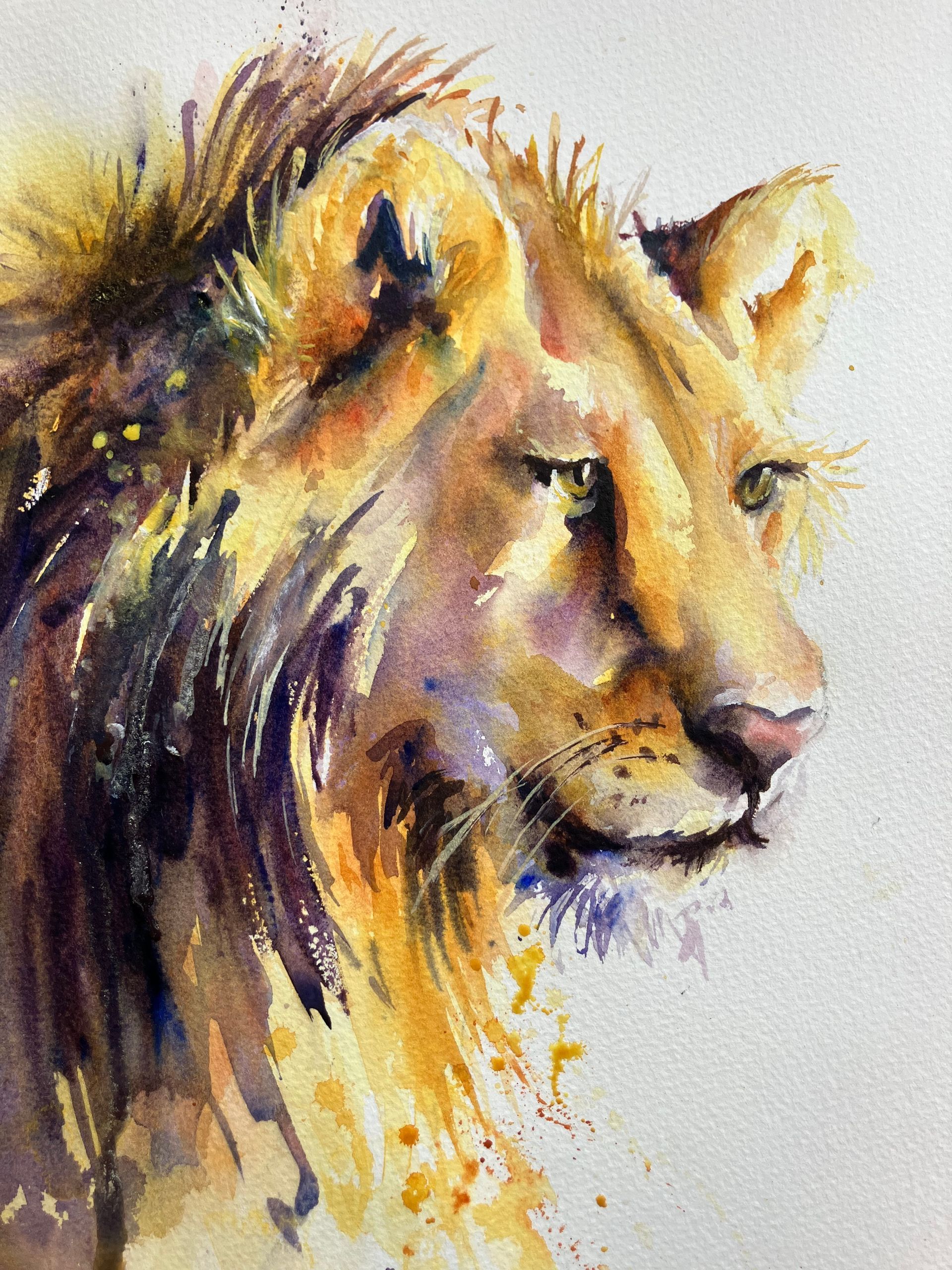 Majestic lion portrait in watercolour by Nicky Hunter.