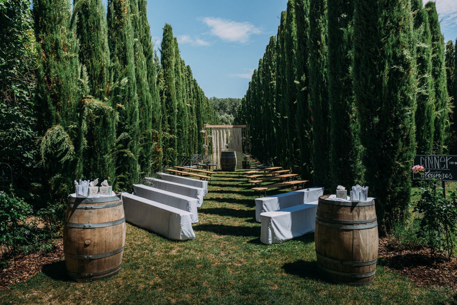 Eine Hochzeitsdekoration besteht natürlich nicht nur aus den Bereichen Raum-, Tisch-, und Autodekoration sondern verlangt auch noch einige weitere Dekorations-Entscheidungen. Eine Hochzeitsdekoration besteht natürlich nicht nur aus den Bereichen Raum-, Tisch-, und Autodekoration sondern verlangt auch noch einige weitere Dekorations-Entscheidungen.