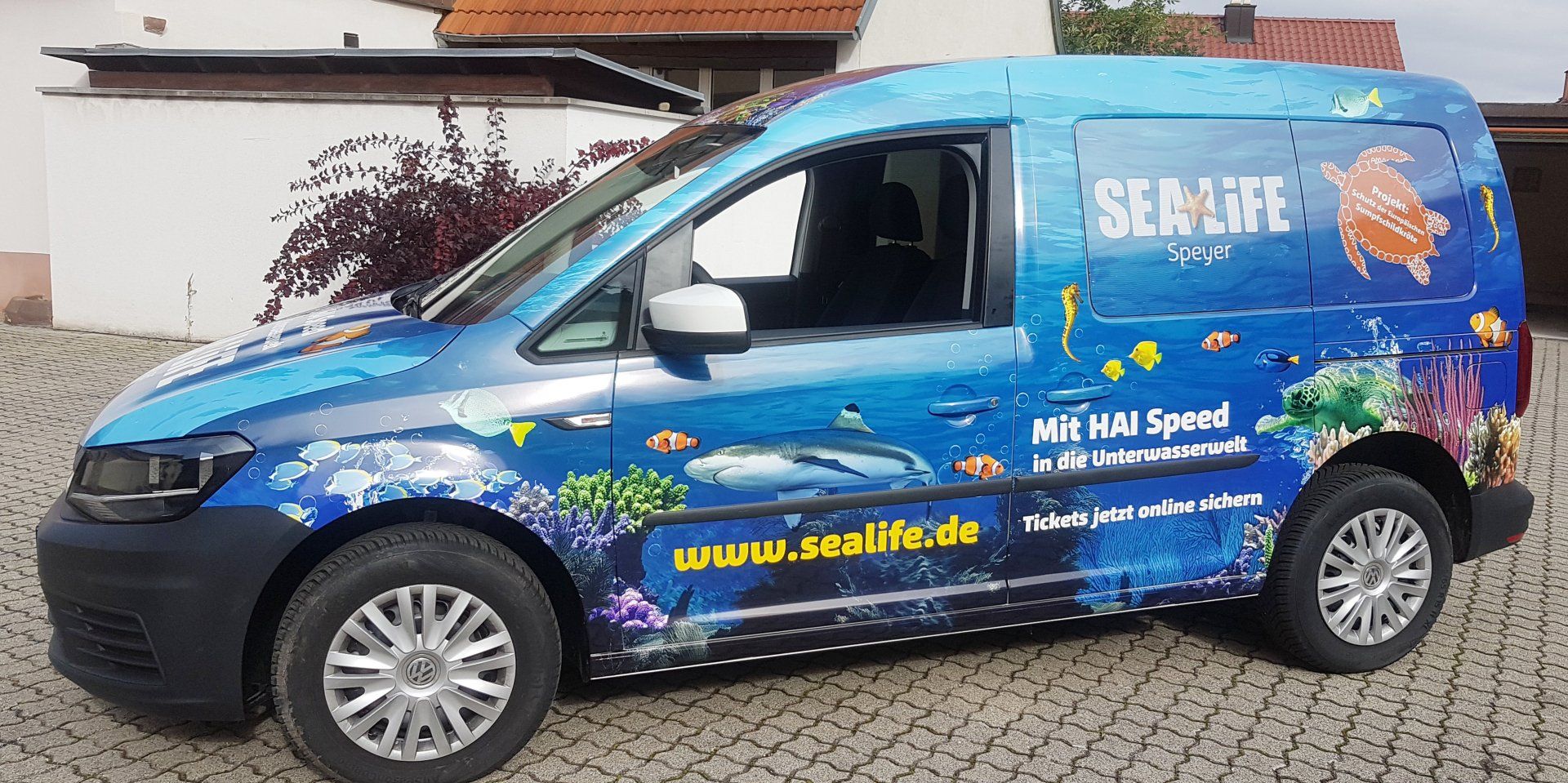 Carwrapping, Vollfolierung, Autofolierung