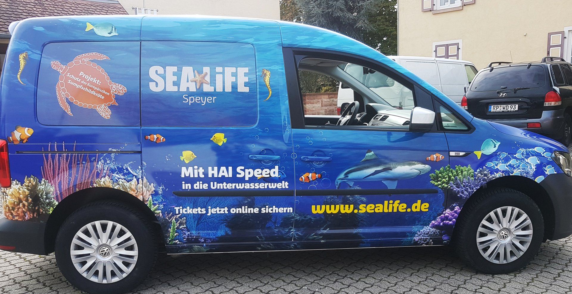 Die genaue Dauer der Montage für eine Autofolierung dauert in der Regel nicht länger als 2-3 Tage. Ganz nach Kundenwunsch um Umfang der Beschriftung kann eine Folierung auch schon in wenigen Stunden von unseren Werbetechnikern umgesetzt werden. Die genaue Dauer der Montage für eine Autofolierung dauert in der Regel nicht länger als 2-3 Tage. Ganz nach Kundenwunsch um Umfang der Beschriftung kann eine Folierung auch schon in wenigen Stunden von unseren Werbetechnikern umgesetzt werden.