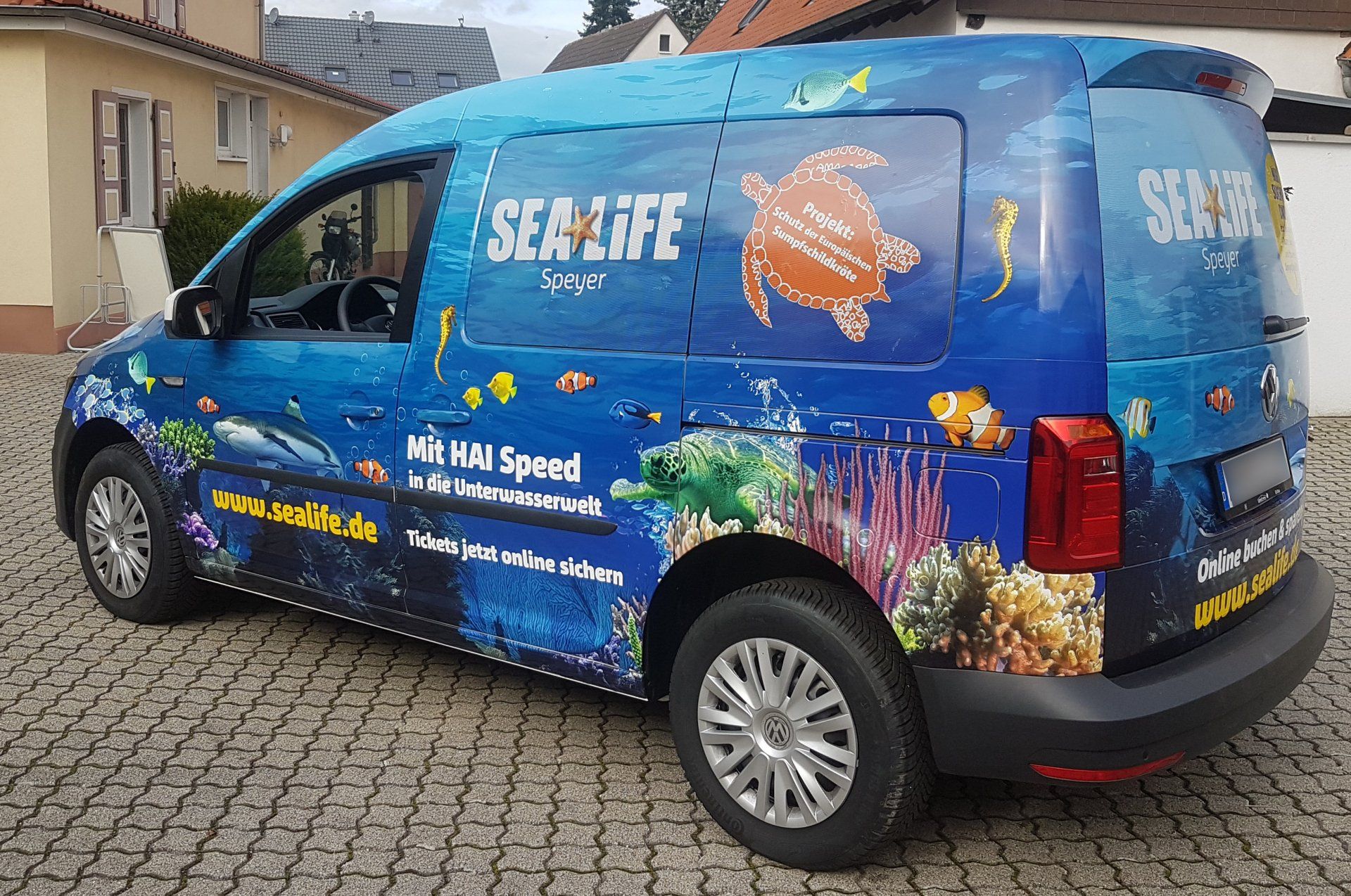 Durch eine Fahrzeugfolierung, ob eine Voll-, oder Teilfolierung können Sie Ihrem Fahrzeug einen neuen individuellen Look geben, oder durch großflächige Werbebotschaften einen unübersehbaren Träger Ihrer Werbebotschaften für Ihr Unternehmen gewinnen. Durch eine Fahrzeugfolierung, ob eine Voll-, oder Teilfolierung können Sie Ihrem Fahrzeug einen neuen individuellen Look geben, oder durch großflächige Werbebotschaften einen unübersehbaren Träger Ihrer Werbebotschaften für Ihr Unternehmen gewinnen.