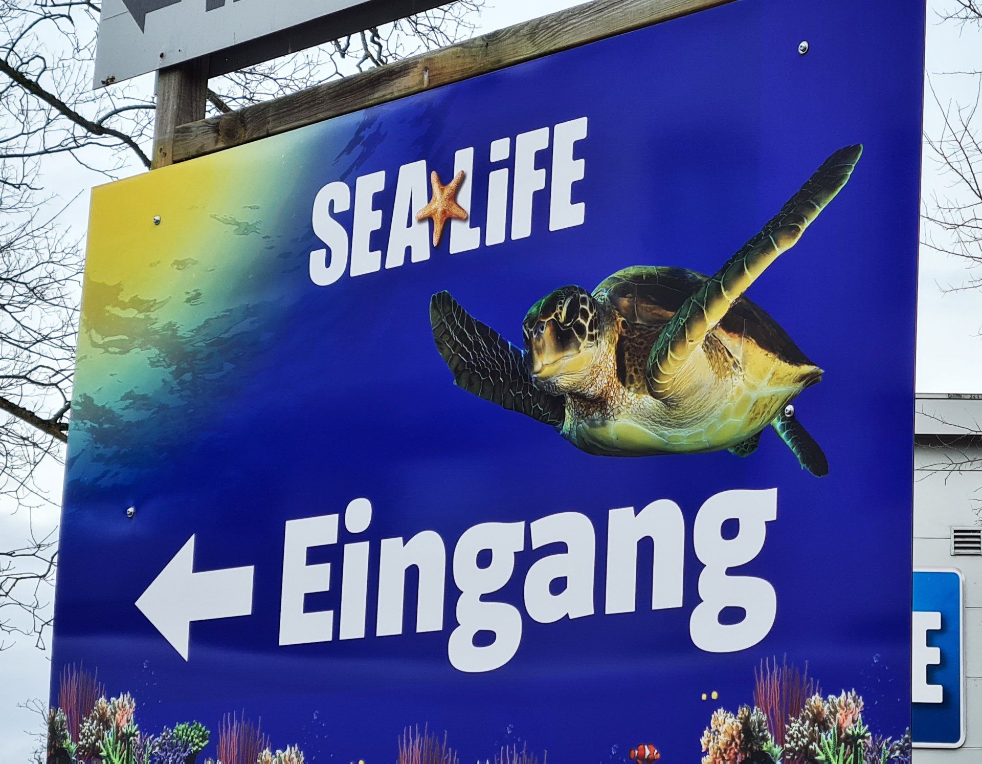 Lassen Sie sich von uns beraten, wir werden auch für ihren Anwendungszweck das richtige