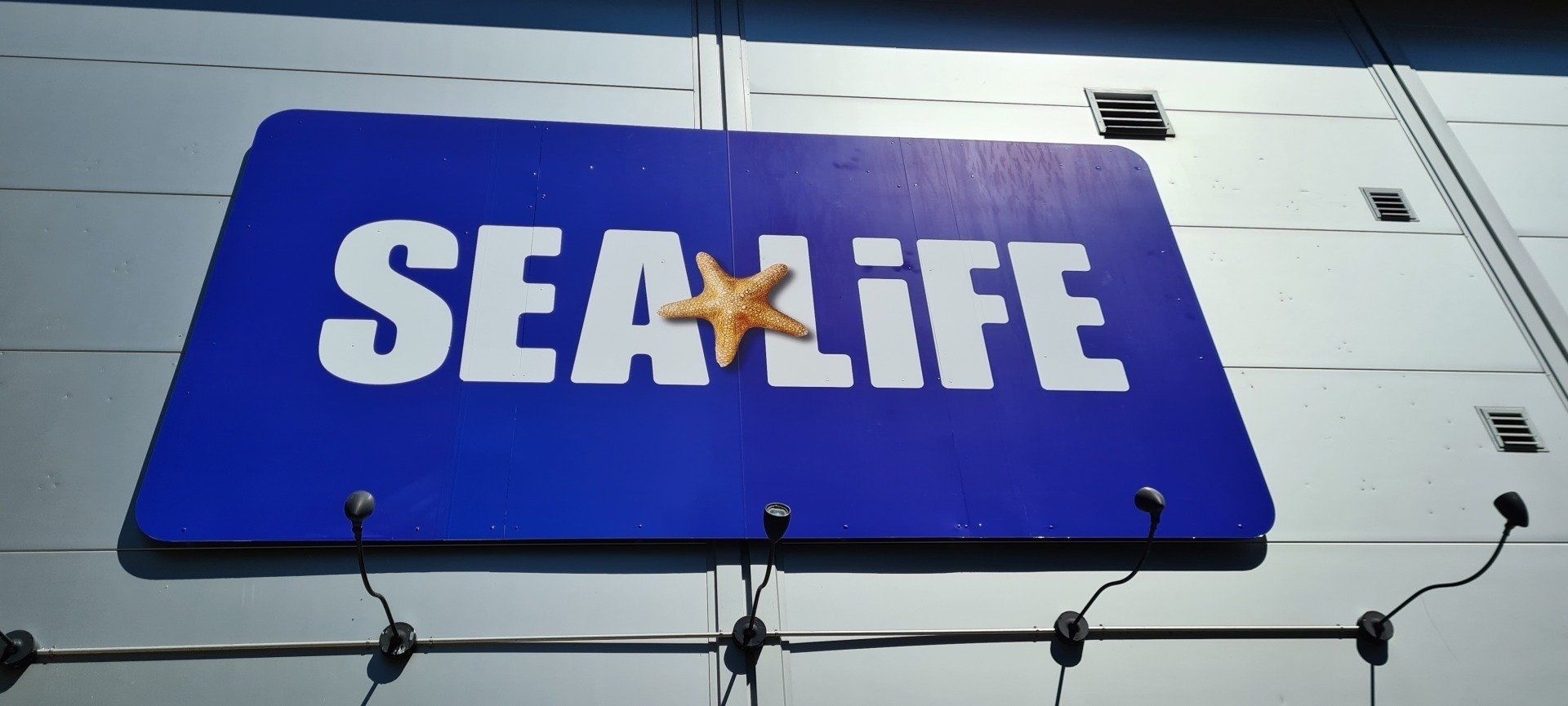 Wir entwickeln für Sie den Werbeträger oder die Beschriftung/Folierung von der Idee, über die Planung und Gestaltung, bis zur Realisation und anschließender Montage vor Ort. Wir entwickeln für Sie den Werbeträger oder die Beschriftung/Folierung von der Idee, über die Planung und Gestaltung, bis zur Realisation und anschließender Montage vor Ort.