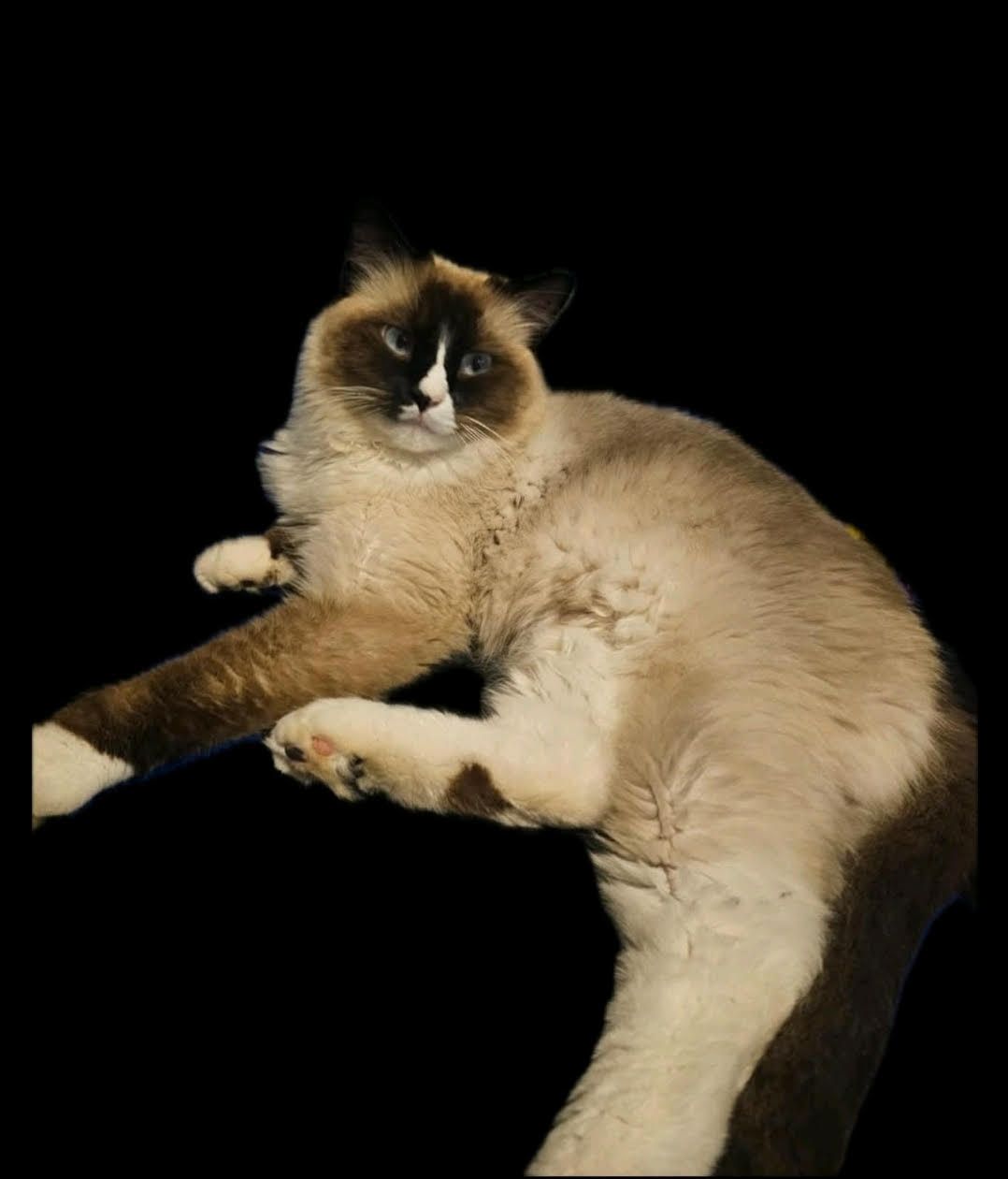 Solid Value Contracting LLC General Contactor Lowry City Missouri