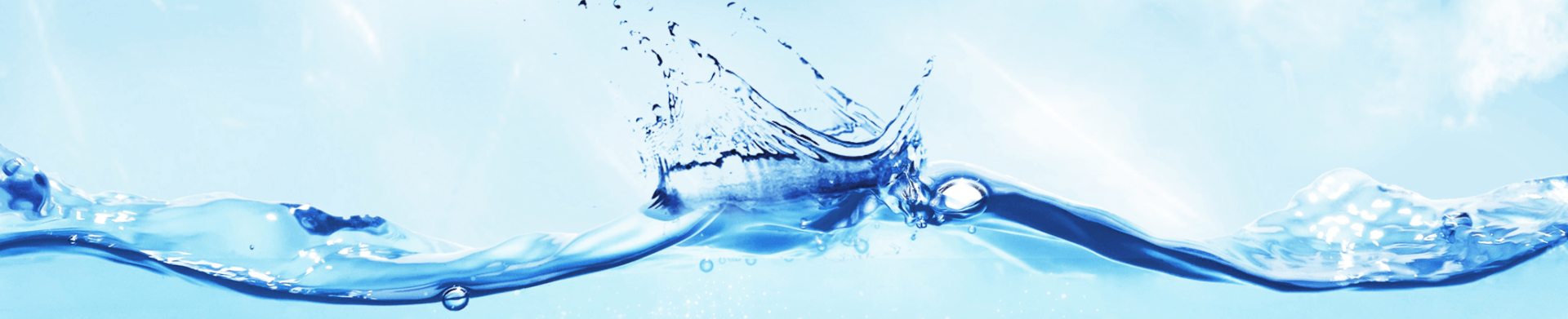 Wasseranalytik - Quick Facts