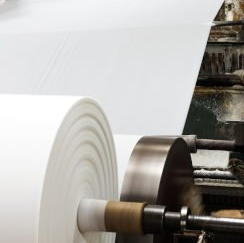 Zellstoff und Papier Zellstoff und Papier