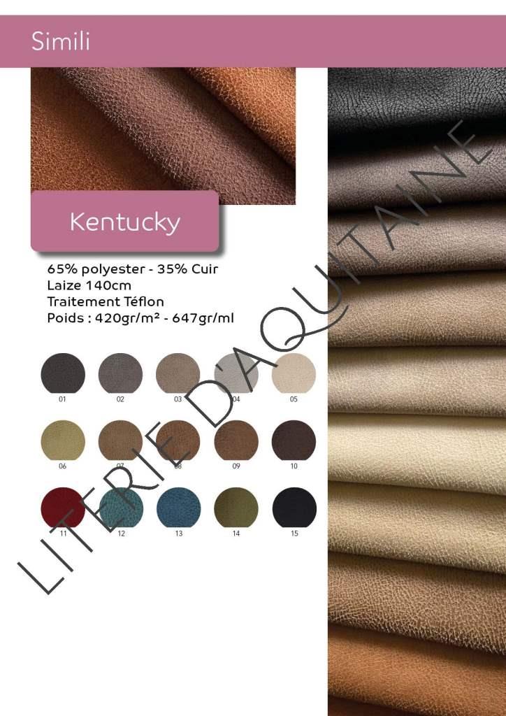 SIMILI SKAÏ KENTUCKY FROCA 65% polyester - 35% Cuir Laize 140cm Traitement Téflon Poids : 420gr/m² - 647gr/ml 15 coloris