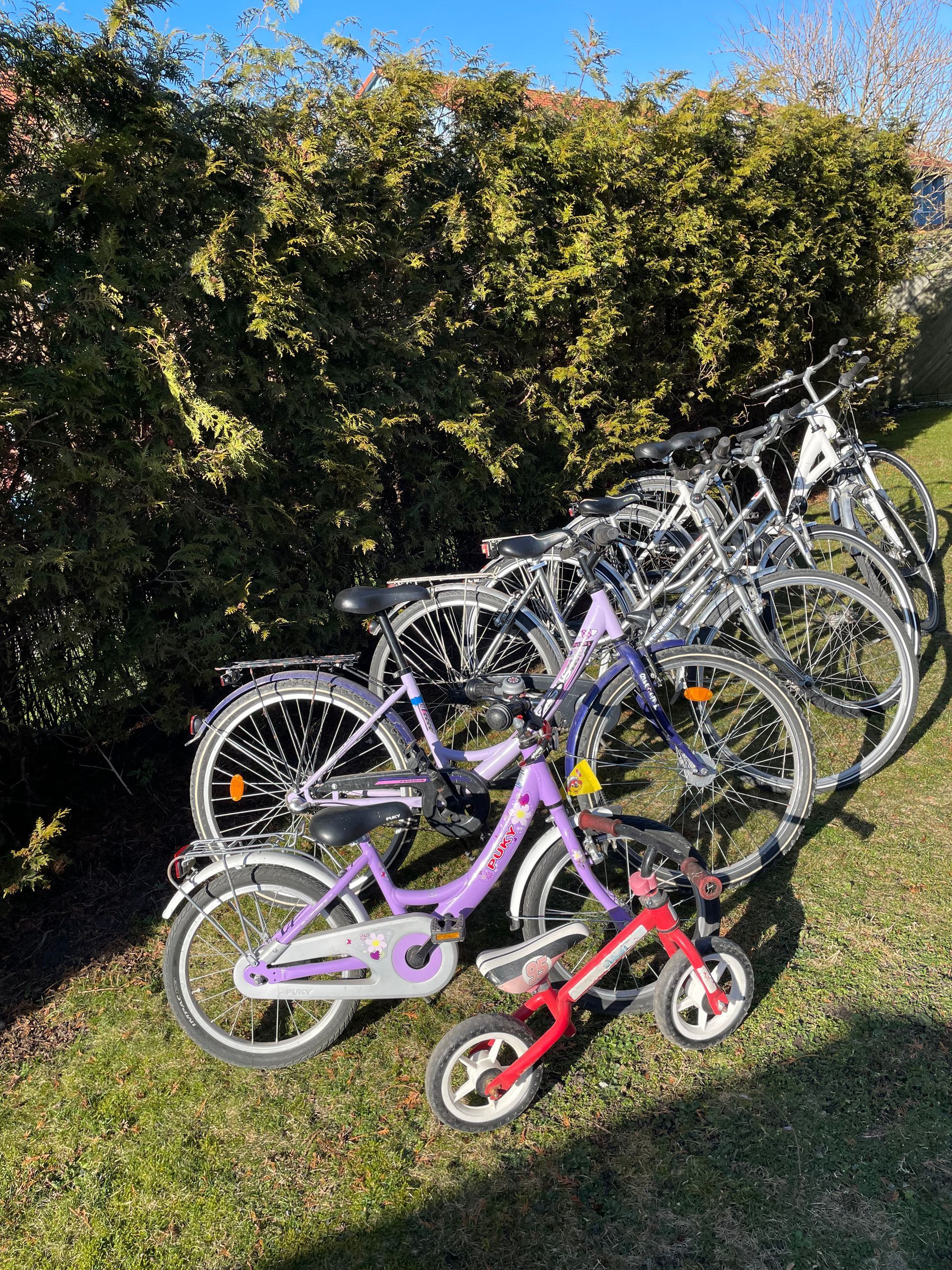 Lotsenkoje - 5 P. - Leihfahrräder vorhanden