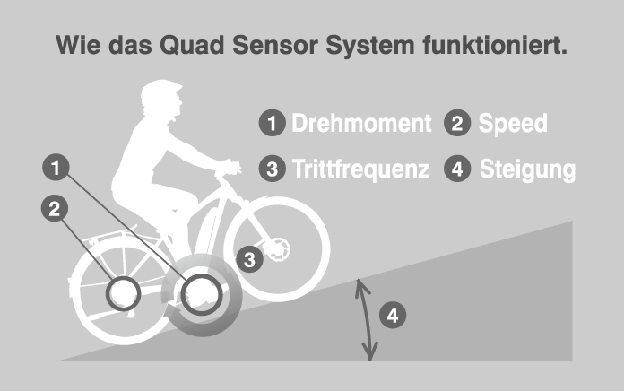 Yamaha E-Bike System