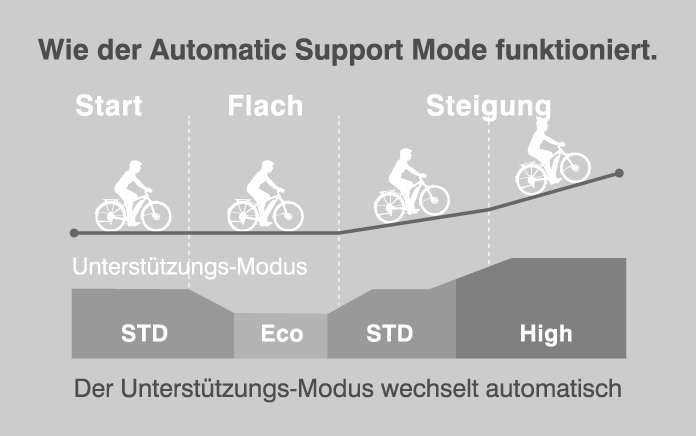 Yamaha E-Bike System