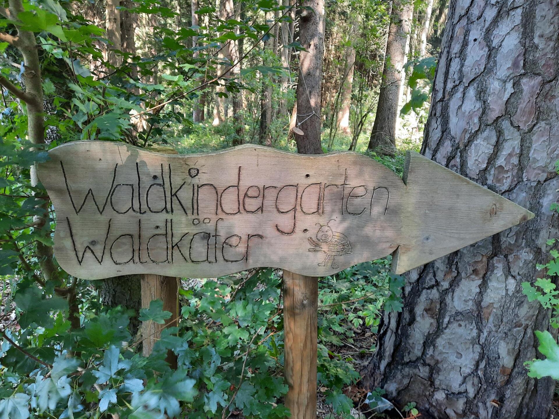 Waldkindergarten Waldkäfer Traunreut