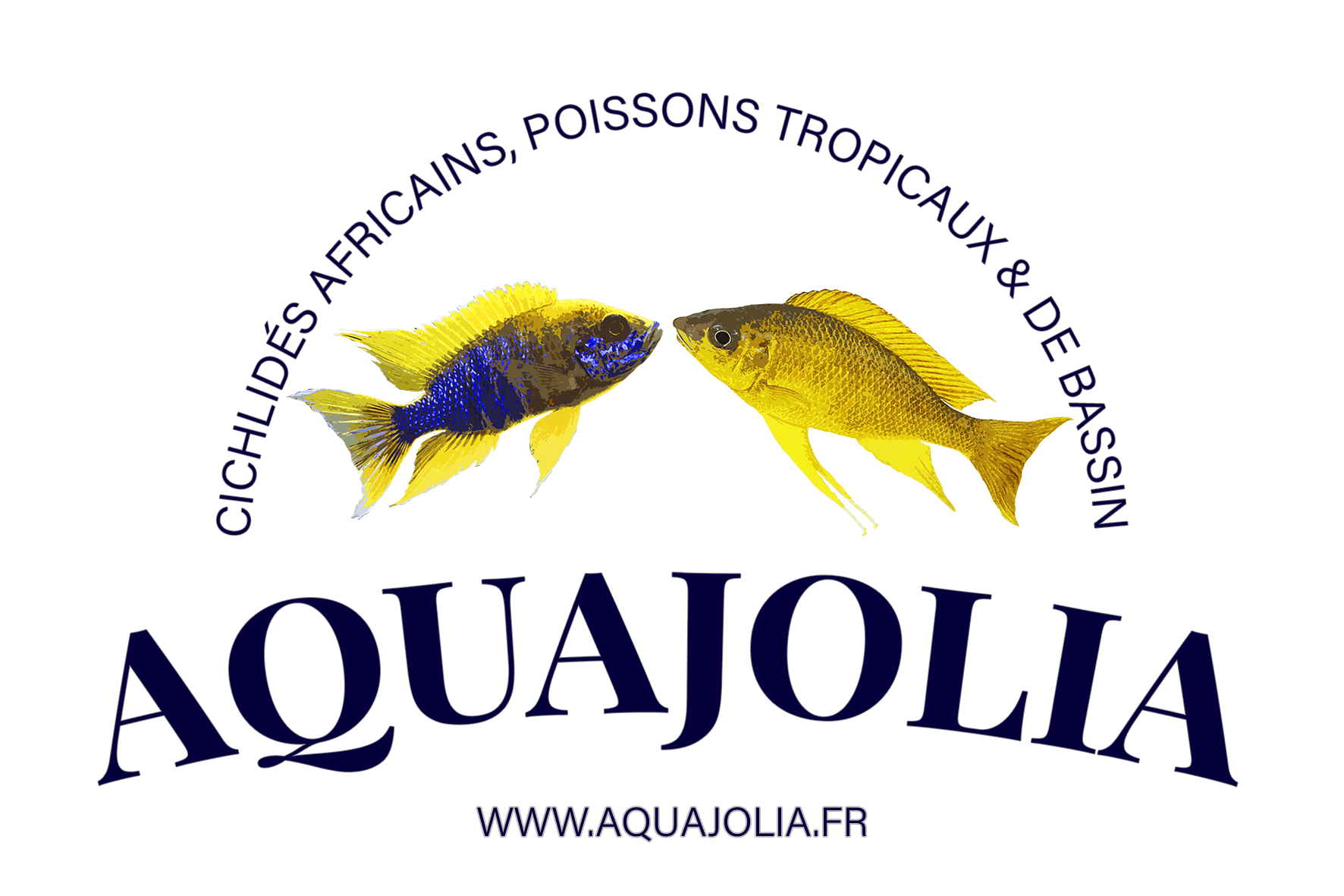Logo Aquajolia