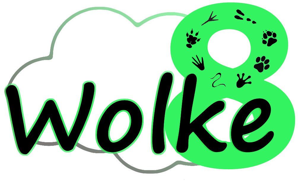 Tierbestattungen, Tierurnen und Andenken