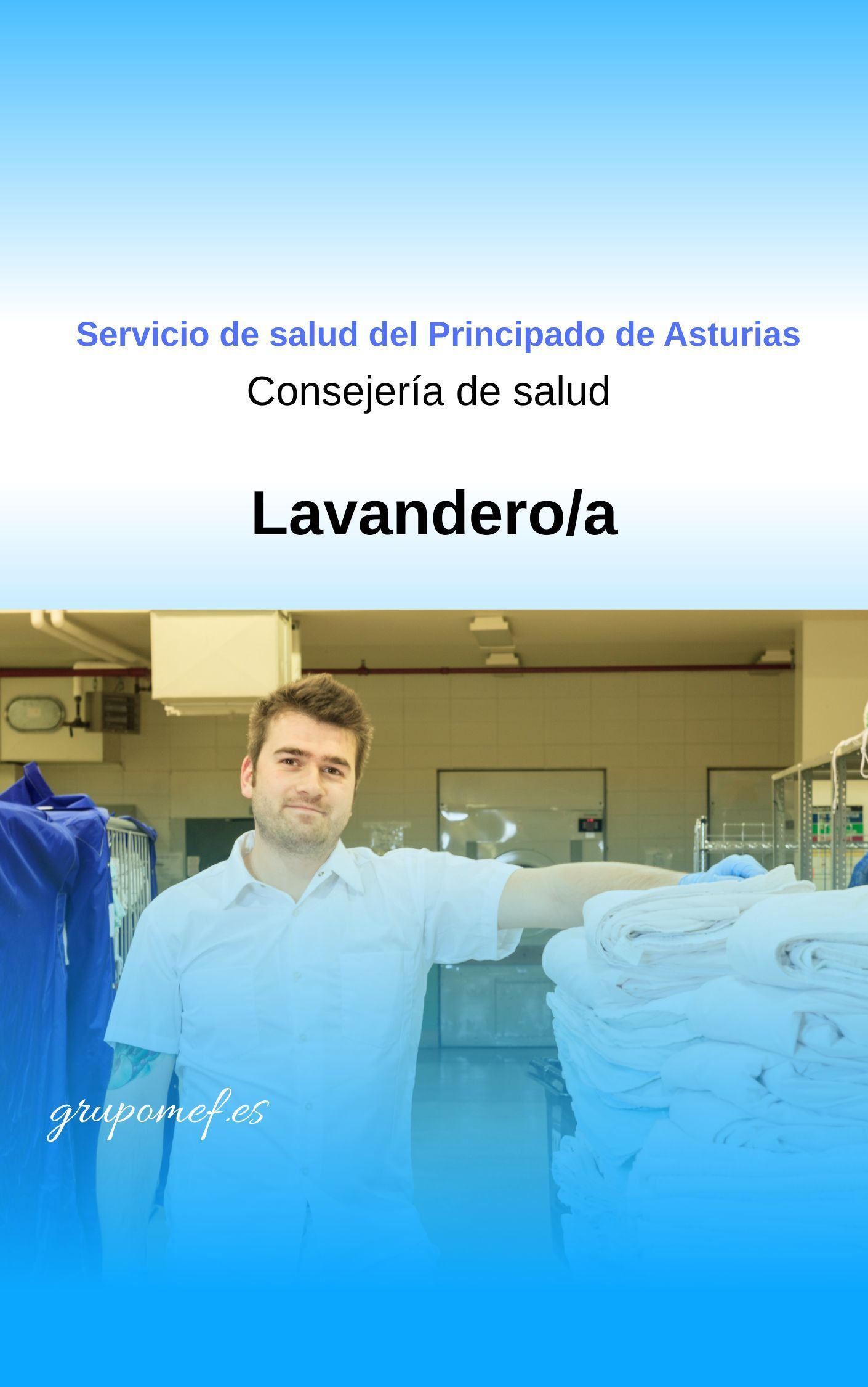 Lavandero/a