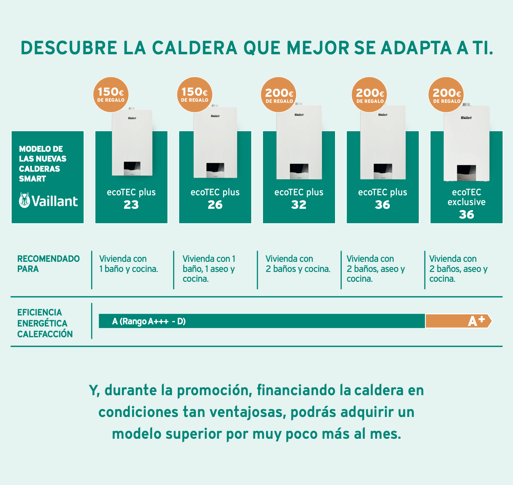 Ayudas y Renove para calderas Vaillant en Gipuzkoa