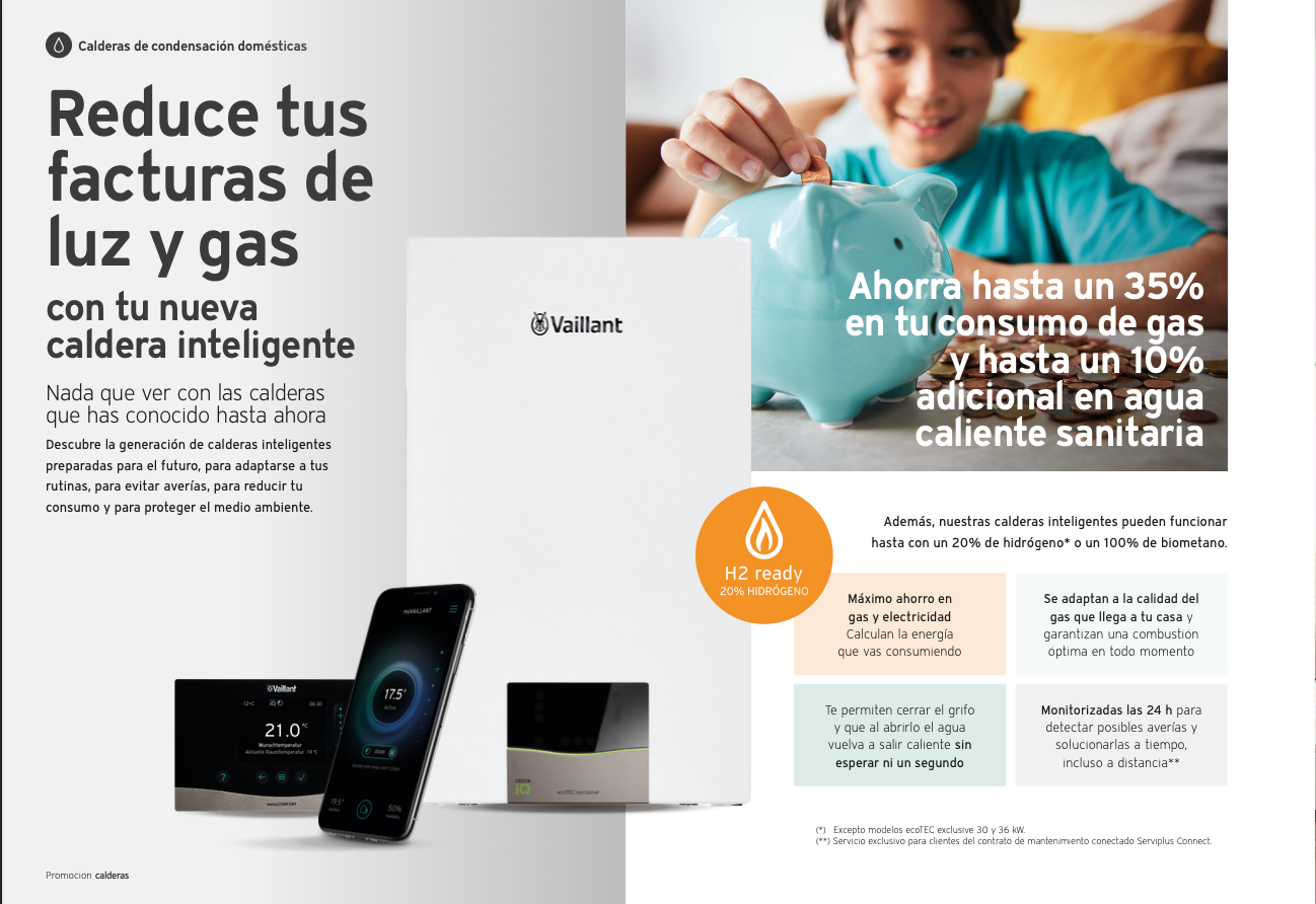 Ayudas y Renove para calderas Vaillant en Gipuzkoa 2024 Semogas