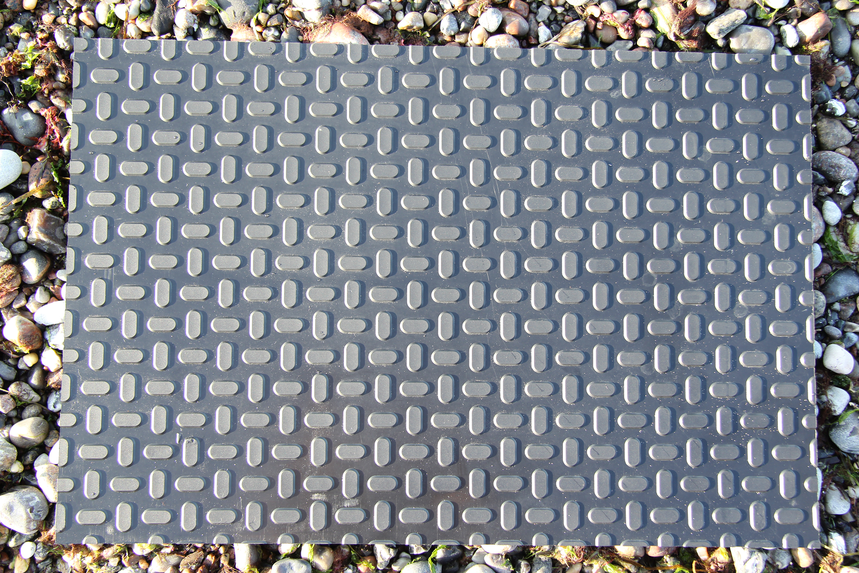Profil Domino