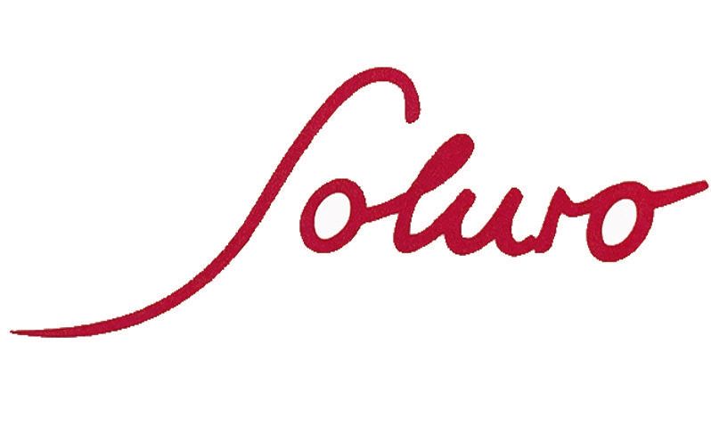 Find The Food Solution Logo Soluro
