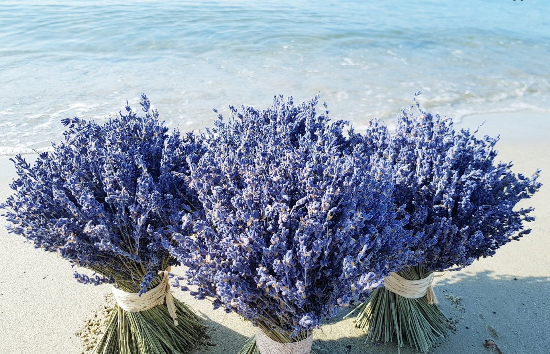Bouquet de lavande