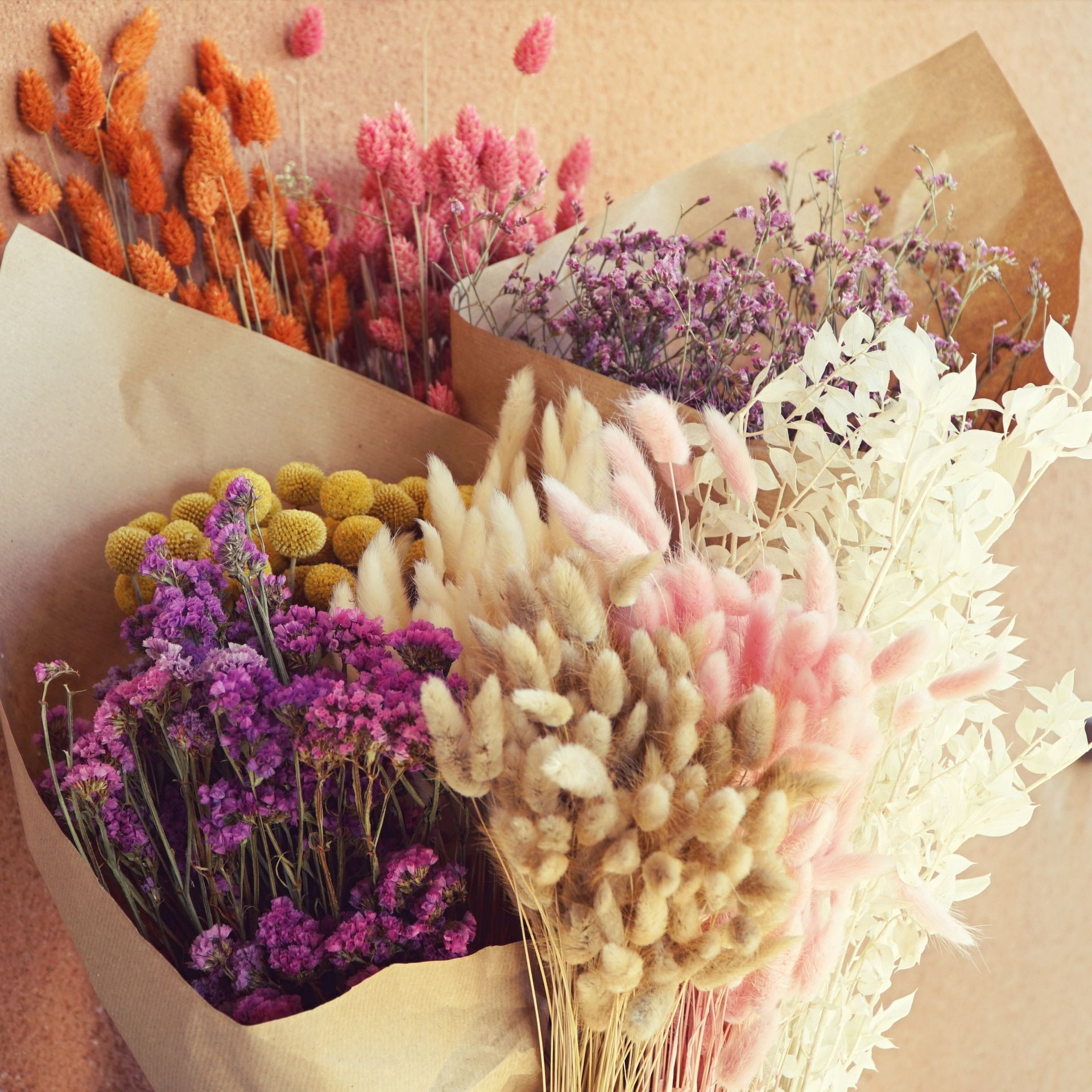Fleurs séchées