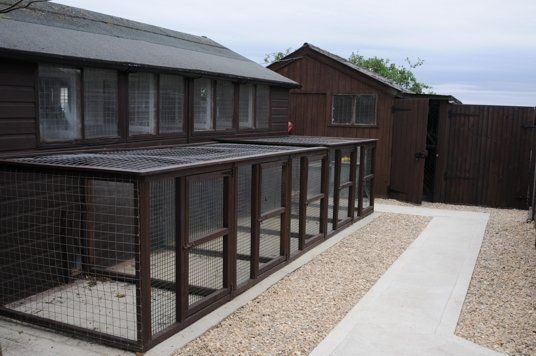 The cattery