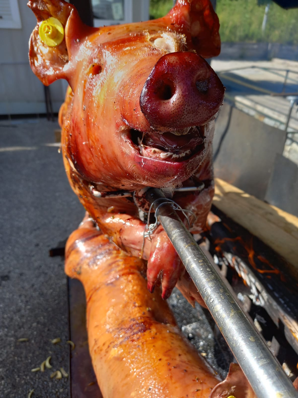 mechoui agneau