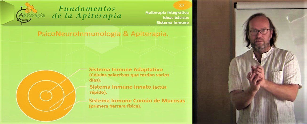 cursos apiterapia