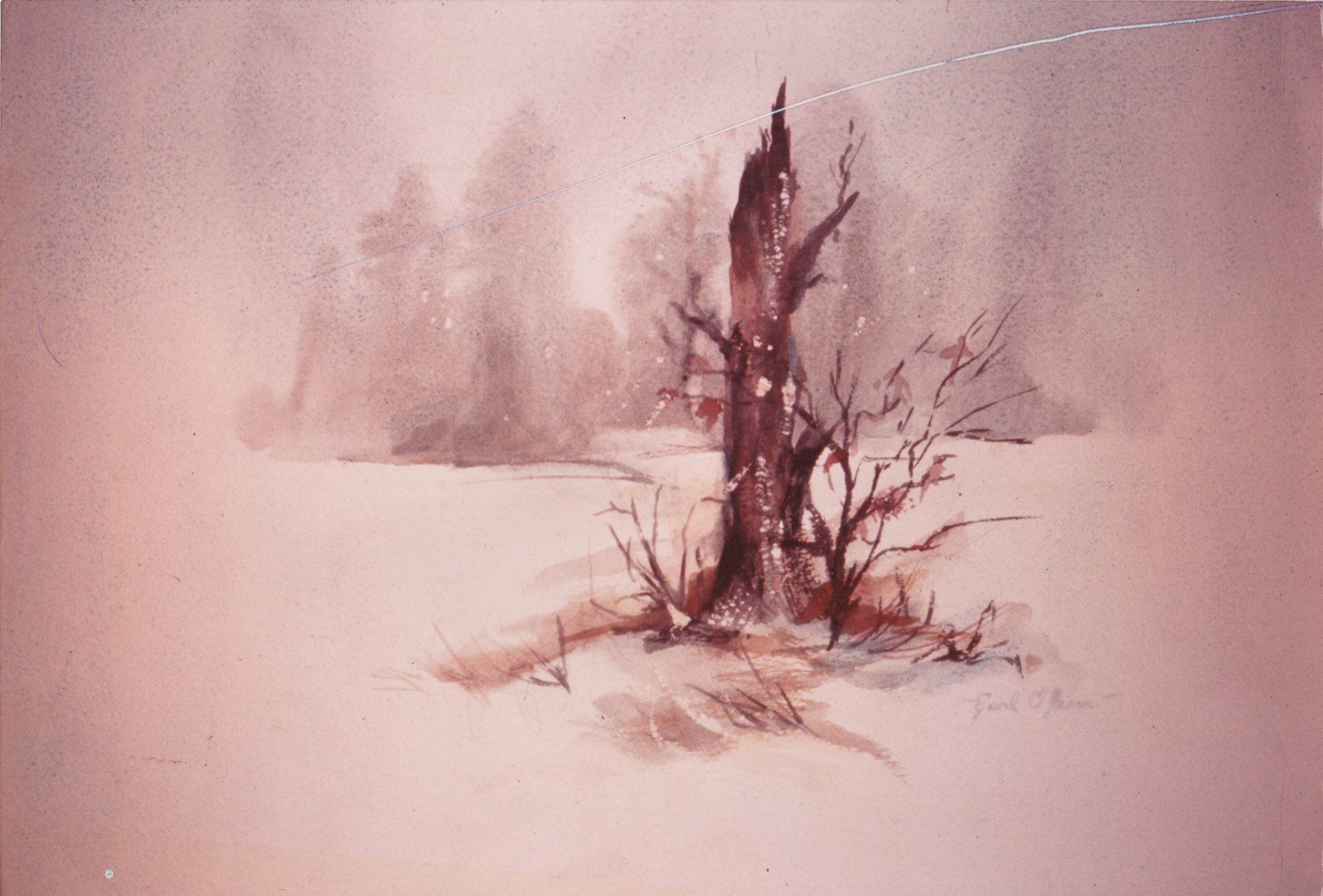 Watercolors on paper board