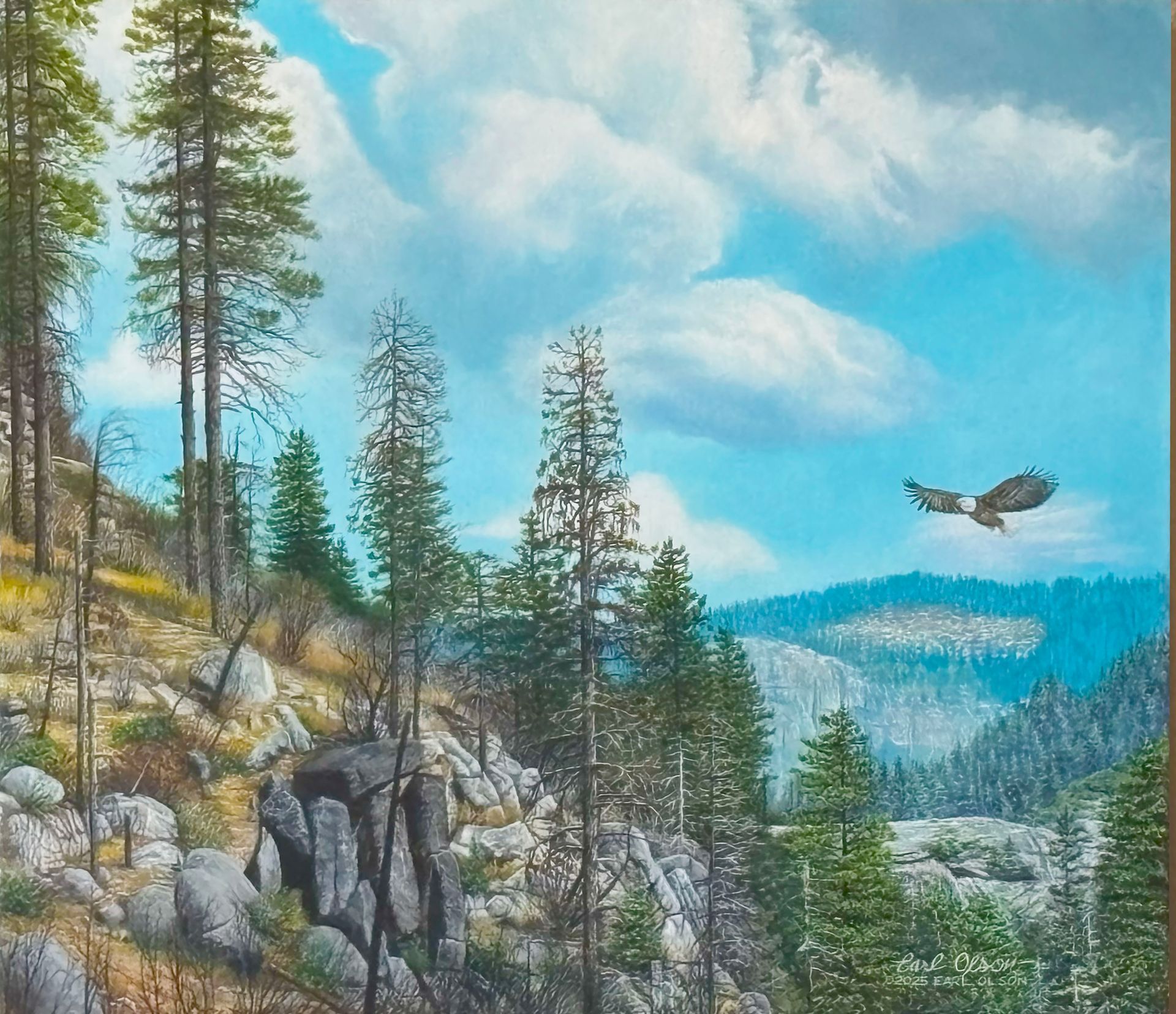 Tree Flyer