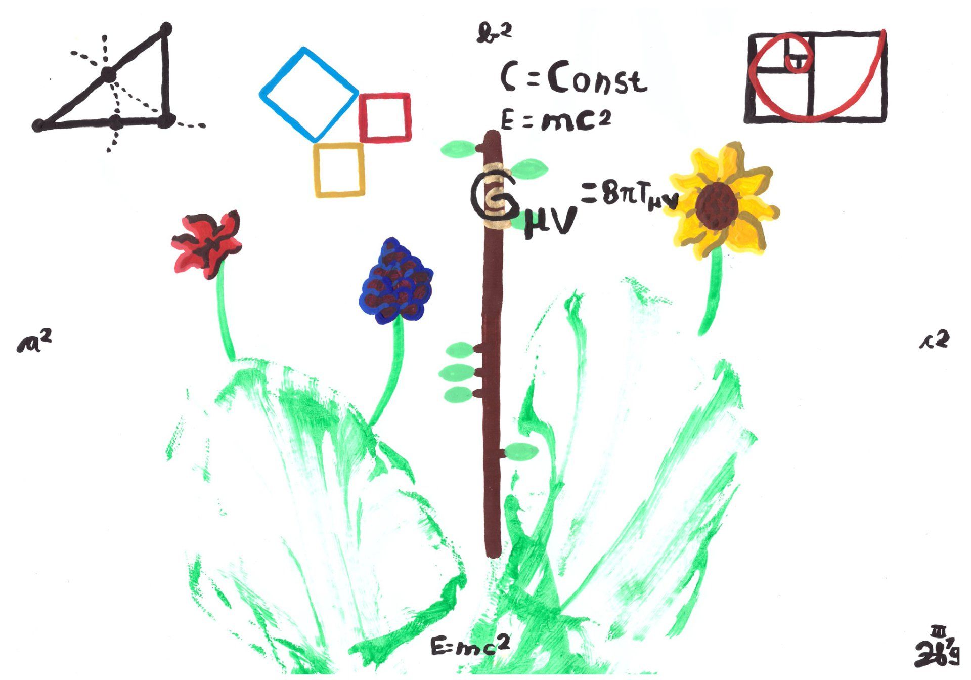 ''Faszination'' 2019 Faszination Kado Images