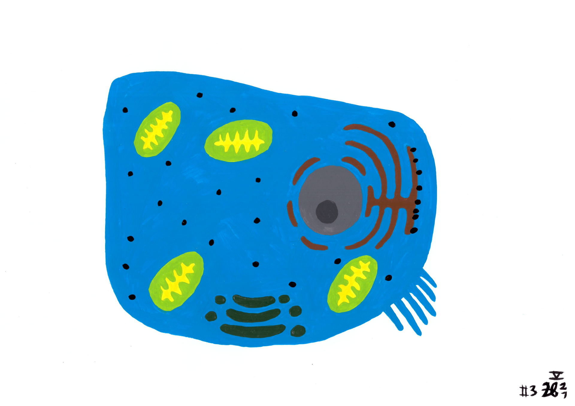 Kleene Zelle ... kado images zelle