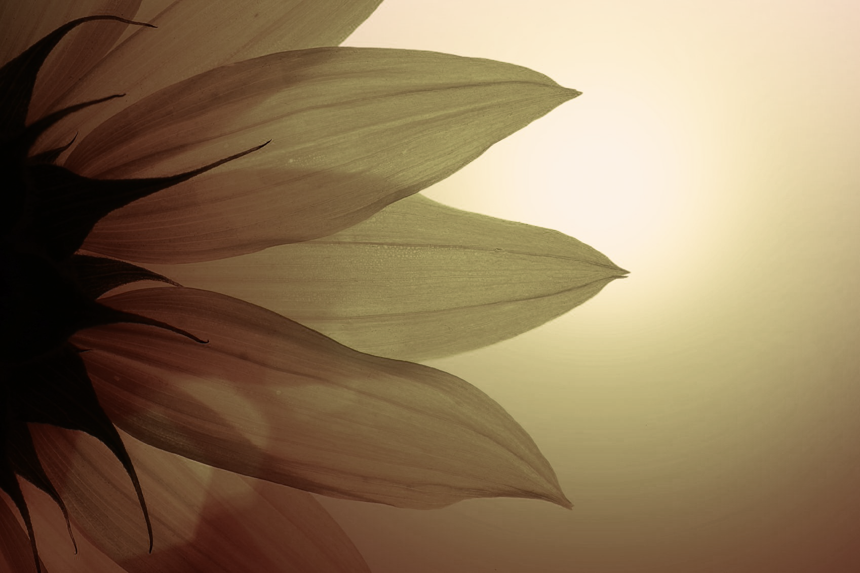 Yoga Nidra, el buen descanso