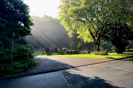 Friedhofswald Siegen, Andachtsplatz Trauerredner werden - fundiertes Wissen