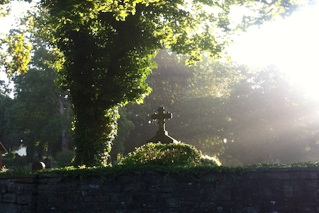 Trauerredner Institut - Trauerredner Institut - Feedback