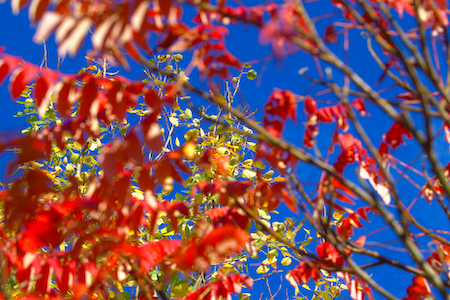 Trauerredner Institut - Trauerredner Institut - Feedback