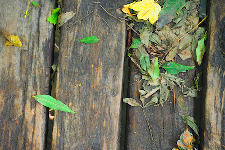 Trauerredner Institut Geisler Gespräche führen Trauerredner Institut Geisler Gespräche führen