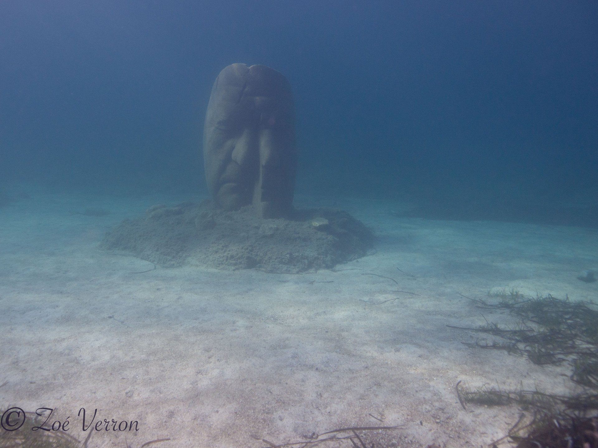 seaprint water taxi juan les pins golfe juan cannes mandelieu théoule îles de lérins taxi boat bateau taxi excursion en mer