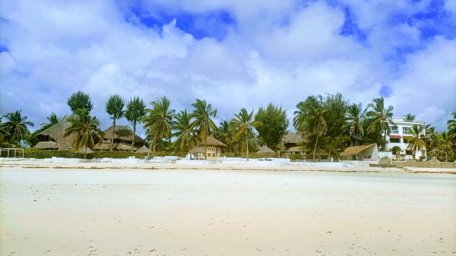 Biodiversità e salute Alberi in comune